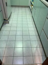 Hazel Park Condominium (D23), Condominium #495983601